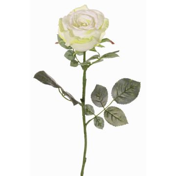Rosa in velluto HUSA, bianco-verde, 75 cm, Ø 10 cm Rosa in velluto HUSA, bianco-verde, 75 cm, Ø 10 cm