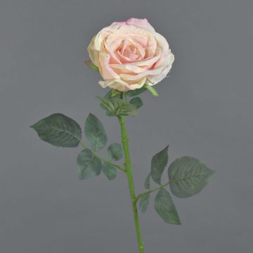 Rosa in velluto HUSA, rosa-crema, 75 cm, Ø 10 cm Rosa in velluto HUSA, rosa-crema, 75 cm, Ø 10 cm