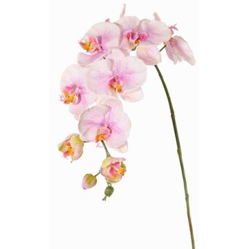Ramo fiorito artificiale di orchidea Phalaenopsis WESA, rosa-bianco, 90 cm, Ø 11-12,5 cm Ramo fiorito artificiale di orchidea Phalaenopsis WESA, rosa-bianco, 90 cm, Ø 11-12,5 cm