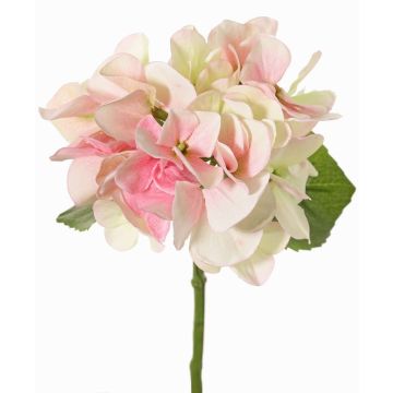 Ortensia artificiale CHIDORI, crema-rosa-verde, 30 cm, Ø 13 cm Ortensia artificiale CHIDORI, crema-rosa-verde, 30 cm, Ø 13 cm