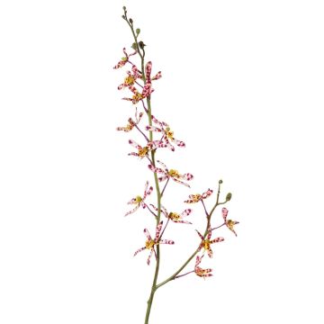 Ramo di fiori artificiali Orchidea Cattleya TRASSA, viola-bianco-giallo, 80 cm, Ø 4-8 cm