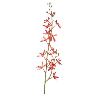 Ramo di fiori artificiali, orchidea Cattleya TRASSA, rosso-arancione, 80 cm, Ø 4-8 cm Ramo di fiori artificiali, orchidea Cattleya TRASSA, rosso-arancione, 80 cm, Ø 4-8 cm