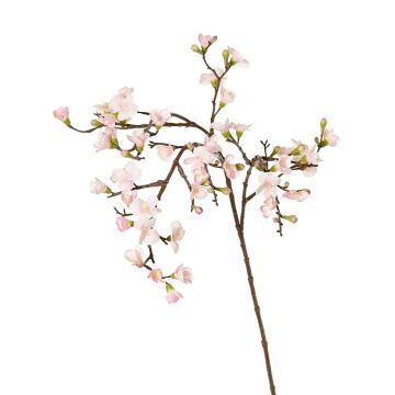 Ramo decorativo di fiori di melo SADAKA con fiori, rosa chiaro, 95 cm, Ø 1,5-4 cm Ramo decorativo di fiori di melo SADAKA con fiori, rosa chiaro, 95 cm, Ø 1,5-4 cm