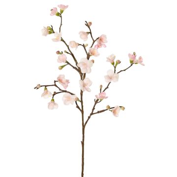 Ramo decorativo di fiori di melo SADAKA, in fiore, rosa chiaro, 70 cm, Ø 3-4 cm Ramo decorativo di fiori di melo SADAKA, in fiore, rosa chiaro, 70 cm, Ø 3-4 cm
