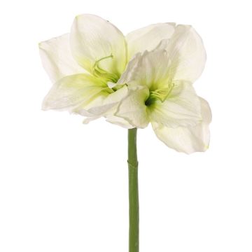 Amaryllis artificiale NARWELA, bianco-verde, 70 cm, Ø 10-13 cm Amaryllis artificiale NARWELA, bianco-verde, 70 cm, Ø 10-13 cm