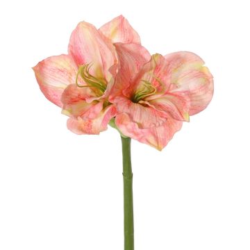 Amaryllis artificiale NARWELA, rosa-fucsia-crema, 70 cm, Ø 10-13 cm