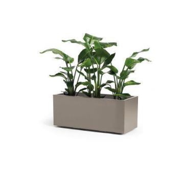 Fioriera rettangolare NASTASJA in plastica riciclata, con serbatoio d'acqua, rotelle, color taupe, 99,5x39,5x38cm, 102L