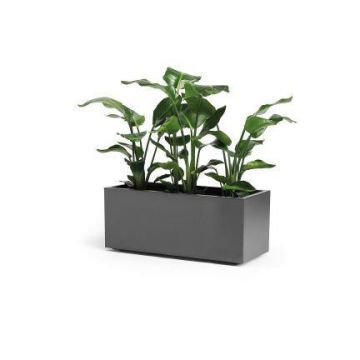 Fioriera rettangolare NASTASJA in plastica riciclata, con serbatoio d'acqua, rotelle, antracite, 99,5x39,5x38cm, 102L