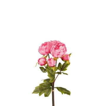 Mazzo di fiori artificiali con peonie VATANA, rosa shocking, 50 cm, Ø 18 cm Mazzo di fiori artificiali con peonie VATANA, rosa shocking, 50 cm, Ø 18 cm