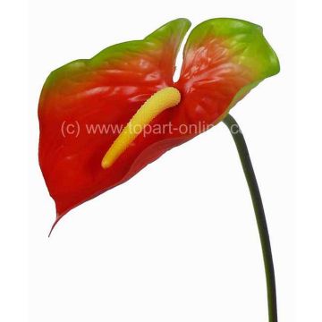 Anturio finto MOIRA, rosso-verde, 75cm, 13x20cm Anturio finto MOIRA, rosso-verde, 75cm, 13x20cm