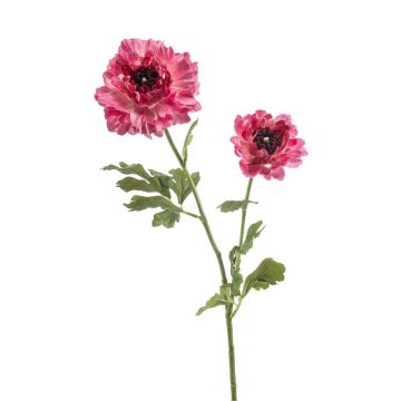 Fiore artificiale ranuncolo LOLYN, rosa shocking, 65 cm Fiore artificiale ranuncolo LOLYN, rosa shocking, 65 cm