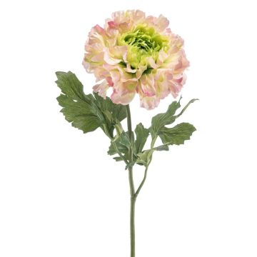 Ranuncolo artificiale ULISAN, rosa-verde, 60 cm, Ø 14 cm Ranuncolo artificiale ULISAN, rosa-verde, 60 cm, Ø 14 cm