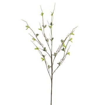Ramo finto di betulla SIVANI, verde, 90 cm