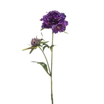 Ramo artificiale di scabiosa BASOLO, viola scuro, 55 cm Ramo artificiale di scabiosa BASOLO, viola scuro, 55 cm