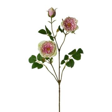 Ramo artificiale di peonia KROVEL, verde-rosa, 75 cm Ramo artificiale di peonia KROVEL, verde-rosa, 75 cm