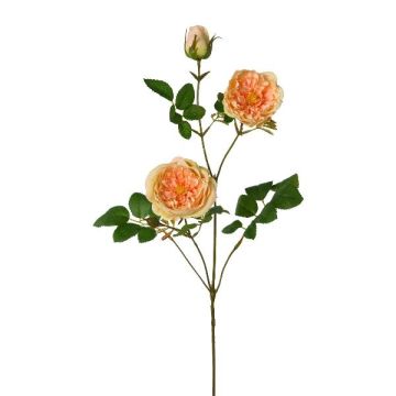 Ramo artificiale di peonia KROVEL, albicocca, 75 cm Ramo artificiale di peonia KROVEL, albicocca, 75 cm