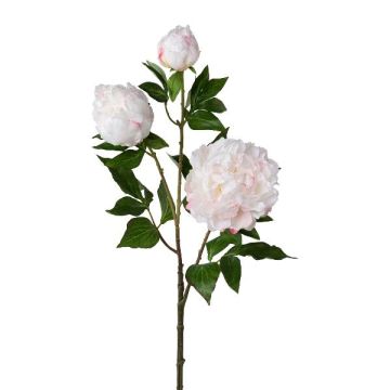 Ramo artificiale di peonia CRUNT, bianco, 85 cm Ramo artificiale di peonia CRUNT, bianco, 85 cm