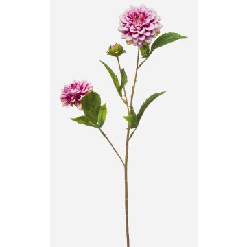 Ramo artificiale di dalia CEVAST, viola-crema, 70 cm, Ø 7-8 cm Ramo artificiale di dalia CEVAST, viola-crema, 70 cm, Ø 7-8 cm