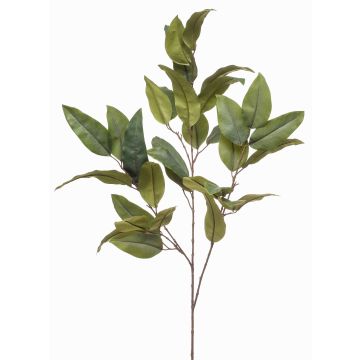 Ramo artificiale di eucalipto BELUNI, verde, 125 cm Ramo artificiale di eucalipto BELUNI, verde, 125 cm