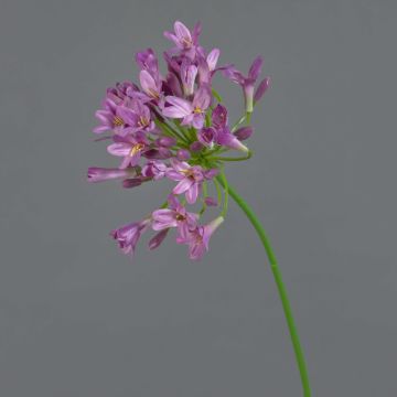 Agapanto finto PHILINA, viola, 75cm, Ø14cm