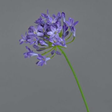 Agapanto finto PHILINA, lilla, 75cm, Ø14cm
