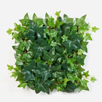 Pianta decorativa edera siepe / stuoia LUKA, verde, 30x30cm