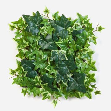Pianta decorativa edera siepe / stuoia LUKA, verde-bianco, 30x30cm