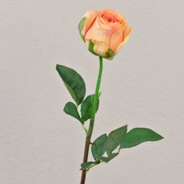 Rosa in velluto SAPINA, giallo-arancione, 60 cm, Ø 6 cm Rosa in velluto SAPINA, giallo-arancione, 60 cm, Ø 6 cm