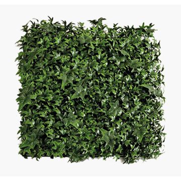 Tappeto di piante artificiali / siepe di edera ANKA, crossdoor, verde, 50x50 cm