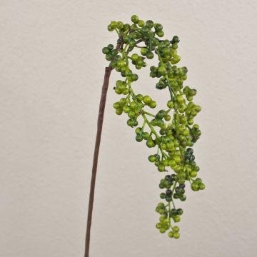 Ramo artificiale di bacche di sambuco SWANTJE, bacche, verde, 40 cm Ramo artificiale di bacche di sambuco SWANTJE, bacche, verde, 40 cm