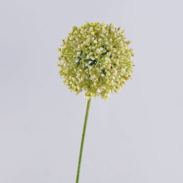Allium artificiale HELLA, glitter, verde crema, 75 cm, Ø 11 cm Allium artificiale HELLA, glitter, verde crema, 75 cm, Ø 11 cm