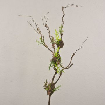 Ramo decorativo di salice contorto RODRIK, muschio, felce, marrone-verde, 90 cm Ramo decorativo di salice contorto RODRIK, muschio, felce, marrone-verde, 90 cm