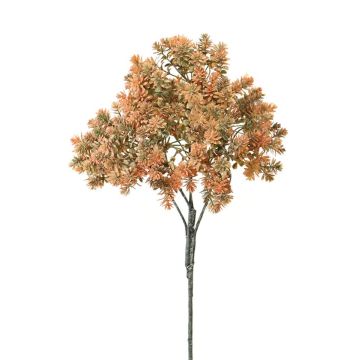 Sedum rubrotinctum in plastica NIRMALA, stelo, arancione-verde, 40 cm