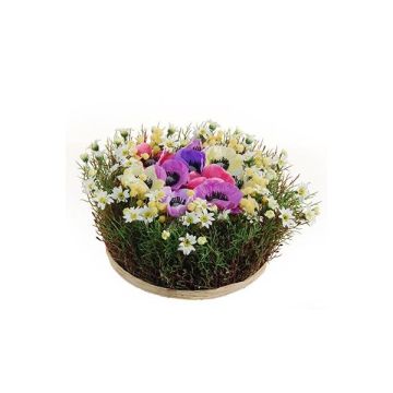 Composizione floreale decorativa con anemoni e margherite IKAIA, variopinta, 12 cm, Ø 20 cm Composizione floreale decorativa con anemoni e margherite IKAIA, variopinta, 12 cm, Ø 20 cm