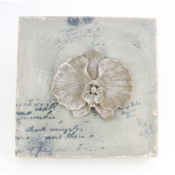 murale / deco picture Orchidea Phalaenopsis LAMINA, grigio chiaro, 32x32cm