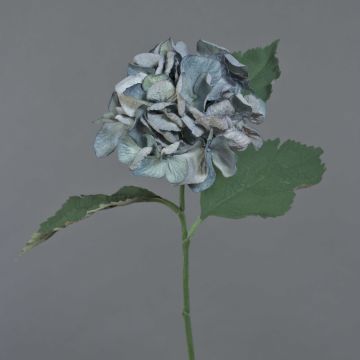 Fiore artificiale ortensia GUNILLA, Eco Collection, grigio-blu, 60 cm, Ø 12 cm