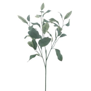 Ramoscello di eucalipto in plastica MALEEN, Eco Collection, verde, 75 cm Ramoscello di eucalipto in plastica MALEEN, Eco Collection, verde, 75 cm