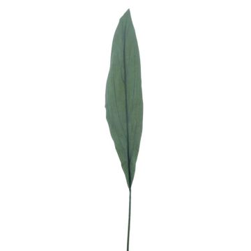 Foglia sintetica di palma da calzolaio MALEKO, Eco Collection, verde, 80cm Foglia sintetica di palma da calzolaio MALEKO, Eco Collection, verde, 80cm