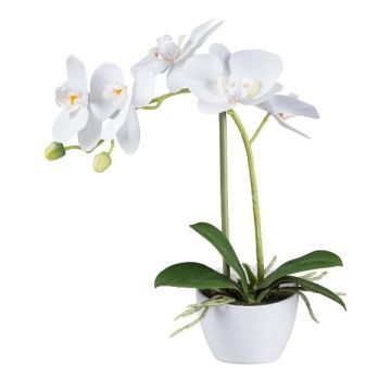 Orchidea Phalaenopsis artificiale FUNTIF in vaso di melamina, con radici, bianca, 35 cm Orchidea Phalaenopsis artificiale FUNTIF in vaso di melamina, con radici, bianca, 35 cm
