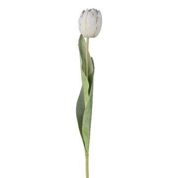 Fiore artificiale tulipano GUSNAV, bianco, 50cm, Ø5cm Fiore artificiale tulipano GUSNAV, bianco, 50cm, Ø5cm