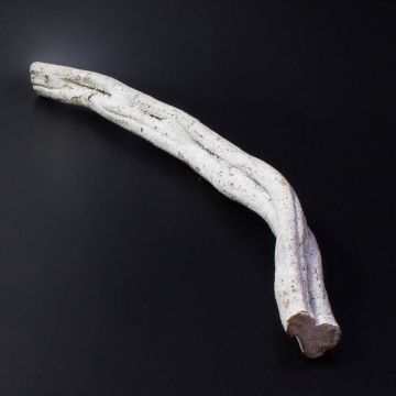 Prodotto naturale Cipo Rosca Liane MALINDI, essiccato, bianco, 70cm, Ø8cm