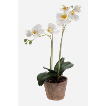 Orchidea artificiale Phalaenopsis MINA in vaso di terracotta, bianca, 45 cm Orchidea artificiale Phalaenopsis MINA in vaso di terracotta, bianca, 45 cm