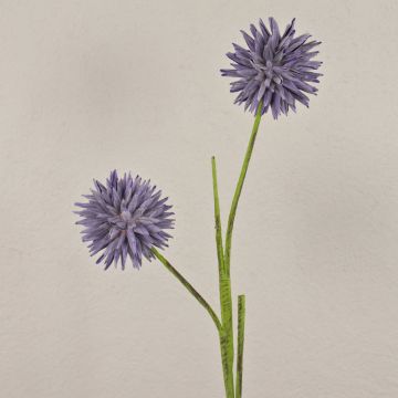 Schiuma sintetica Allium CHIRARA, viola, 90 cm, Ø 10 cm Schiuma sintetica Allium CHIRARA, viola, 90 cm, Ø 10 cm