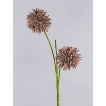 Schiuma sintetica Allium CHIRARA, marrone, 90 cm, Ø 10 cm