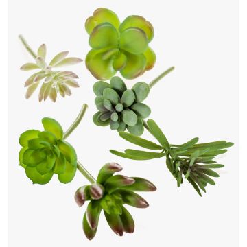 Succulente di plastica JADON, su stelo, 6 pezzi, verde, 13cm, Ø5cm