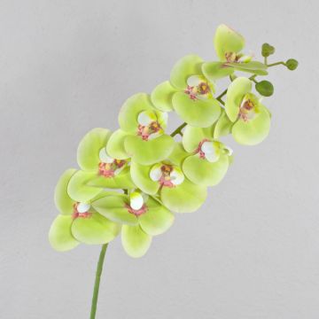 Ramo tessile di orchidea Phalaenopsis OPHELIA, verde-rosa, 100cm