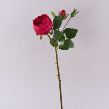 Rosa cavolo artificiale MIRETTA, rossa, 60 cm, Ø 3-9 cm Rosa cavolo artificiale MIRETTA, rossa, 60 cm, Ø 3-9 cm