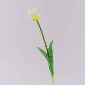 Tulipano artificiale LONA, bianco-verde, 45 cm, Ø 4 cm Tulipano artificiale LONA, bianco-verde, 45 cm, Ø 4 cm