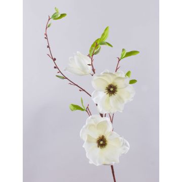 Ramo di magnolia artificiale FINAH, bianco crema, 90 cm, Ø 9-15 cm Ramo di magnolia artificiale FINAH, bianco crema, 90 cm, Ø 9-15 cm