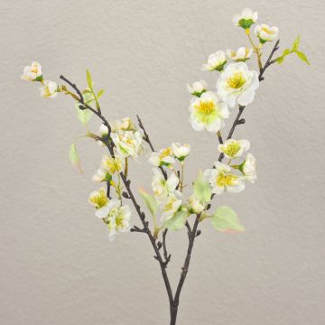 Ramo di ciliegio in fiore artificiale SOEY con fiori, crema-bianco, 45cm, Ø2-4,5cm Ramo di ciliegio in fiore artificiale SOEY con fiori, crema-bianco, 45cm, Ø2-4,5cm